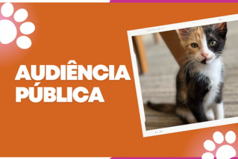 Abril Laranja: Dia Mundial do Animal de Rua, 4 de abril, será marcado por audiência pública