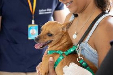 Saúde: Vacinação antirrábica segue em Aracaju com drive-thru para facilitar o acesso dos tutores