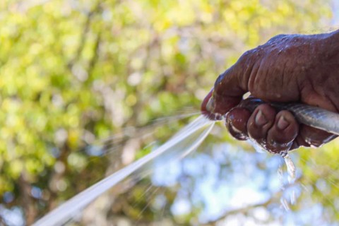 Deso alerta sobre uso inadequado de defensivos agrícolas que podem prejudicar abastecimento