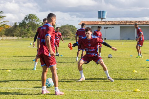 Tricolor foca  Carcará no "mata"
