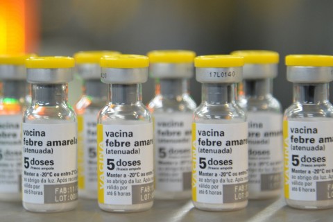 São Paulo confirma primeiro caso de febre amarela em humano em 2025