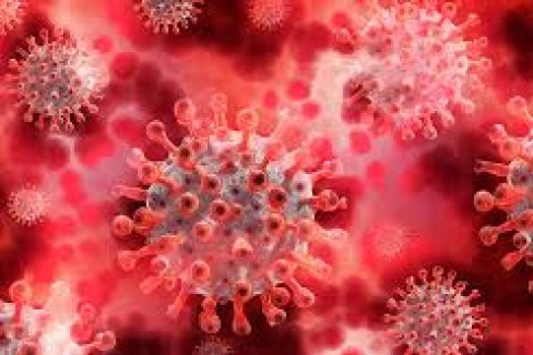 Entenda o que é o vírus respiratório responsável por surto na China